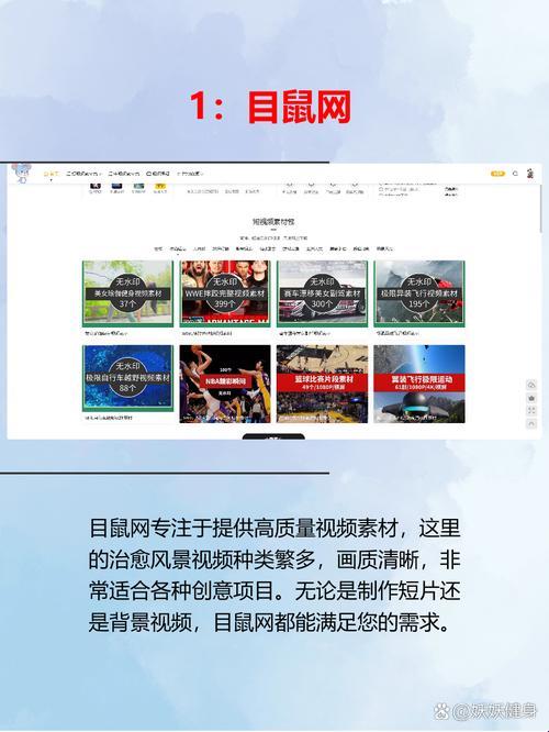目鼠网官网入口解码：短视频暗流下的生态重构法则