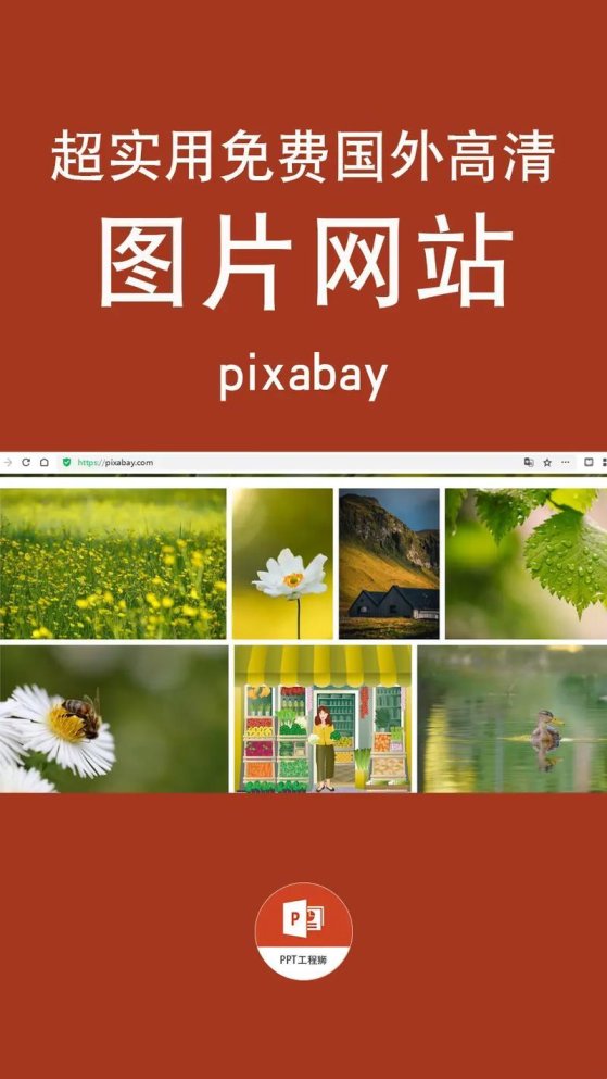被算法追杀的日子：一个视频民工的白嫖生存指南