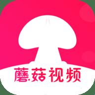 2025版蘑菇短视频新功能曝光！网友直呼“这玩意儿真能解决我熬夜剪片的痛苦？”