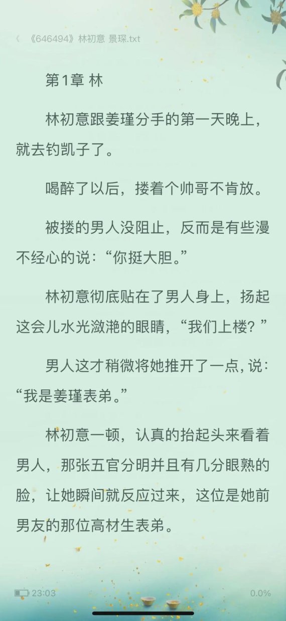 2025年首辅大人1v2林初数据合规性深度解析与实战验证方案