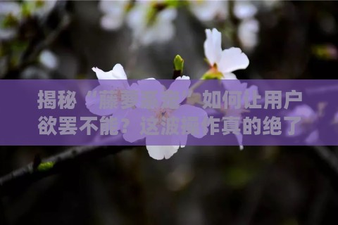 揭秘“藤萝系宠”如何让用户欲罢不能？这波操作真的绝了！