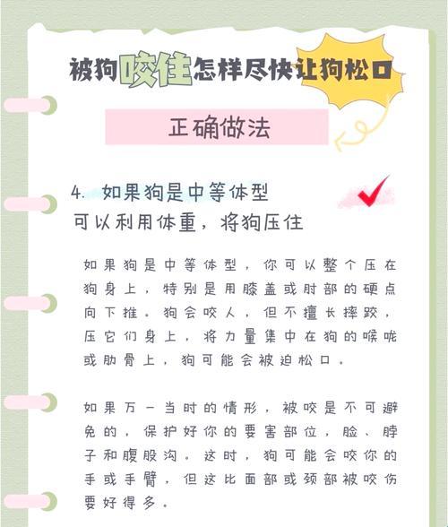 犬类防咬黑科技与人类反咬白皮书：2025宠物行为矫正终极指南