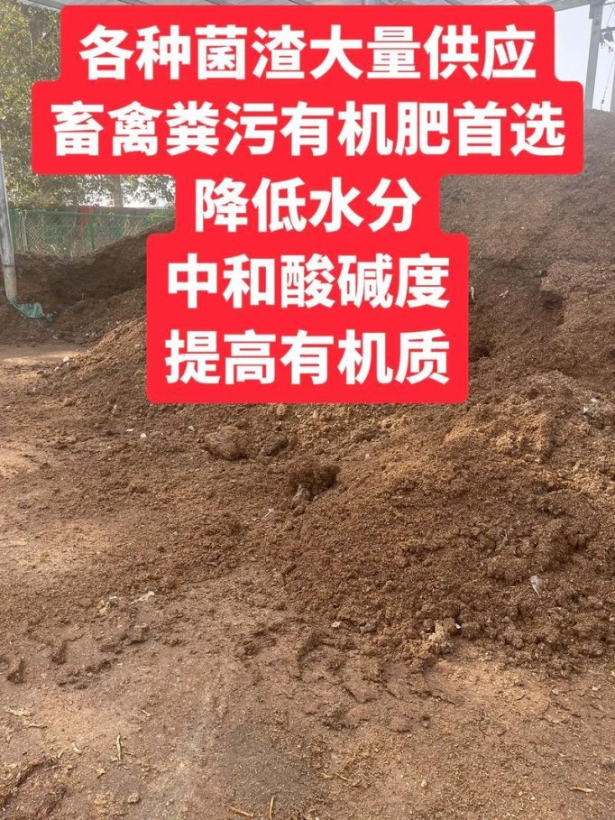 菇渣ph值调教指南：从废料到宝藏的奇幻漂流