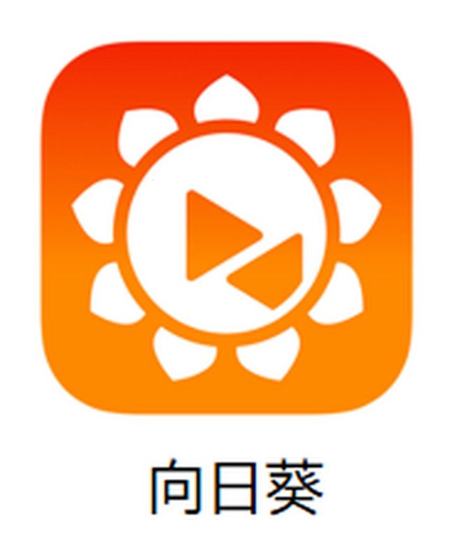 搜“向日葵远程控制”惊现神秘代码？键盘侠手撕远程操控黑科技！