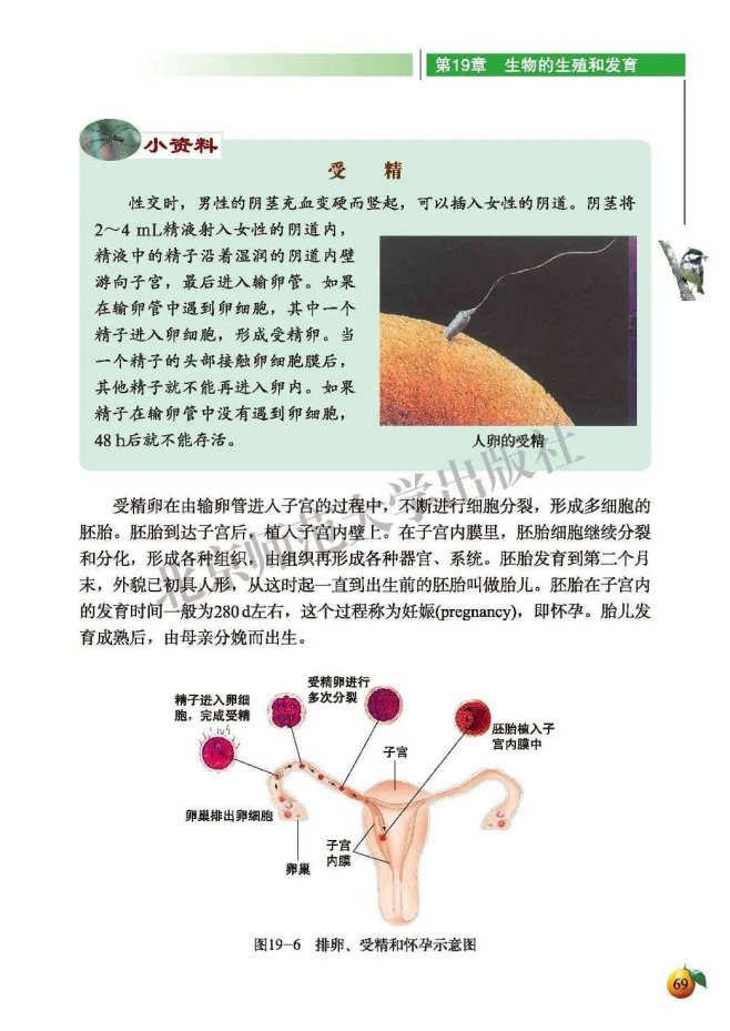 生物教材女性图谱引爆教育科技暗战