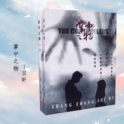 纸电共生时代：一本小说如何用赛博玄学让盗版党破防