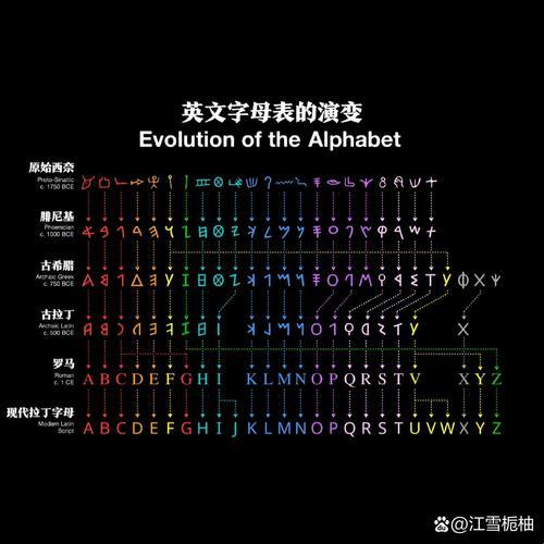 拉丁文变形口诀真的能拯救语法焦虑吗？看看这份通关秘籍
