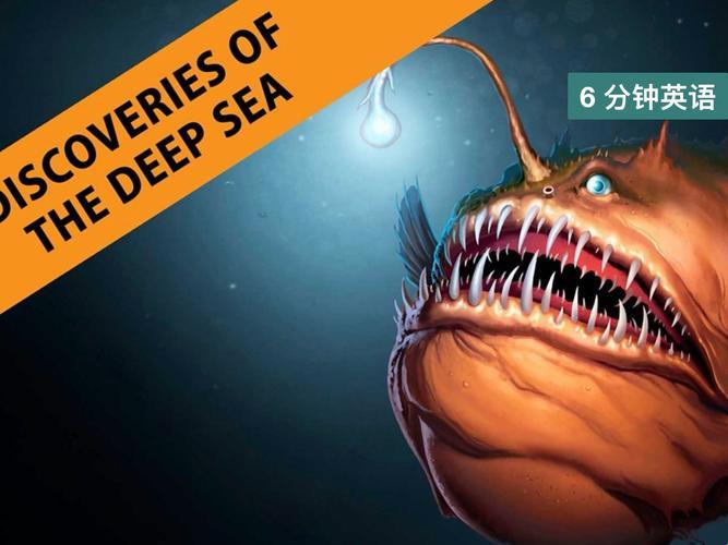 2025最新揭秘！deepsea怎么读中文竟成程序员暗号？网友直呼别踩坑
