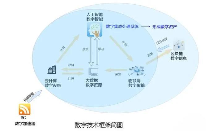 拆解数字世界的dna：你真的了解信息技术的骨架吗？