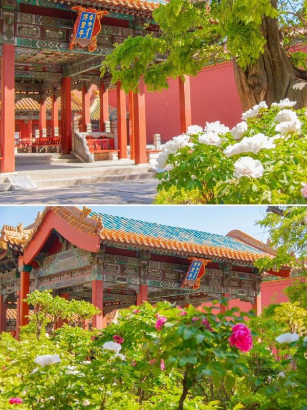 2025年御花园智能监测系统实战验证：破解古建保护与游客体验失衡难题