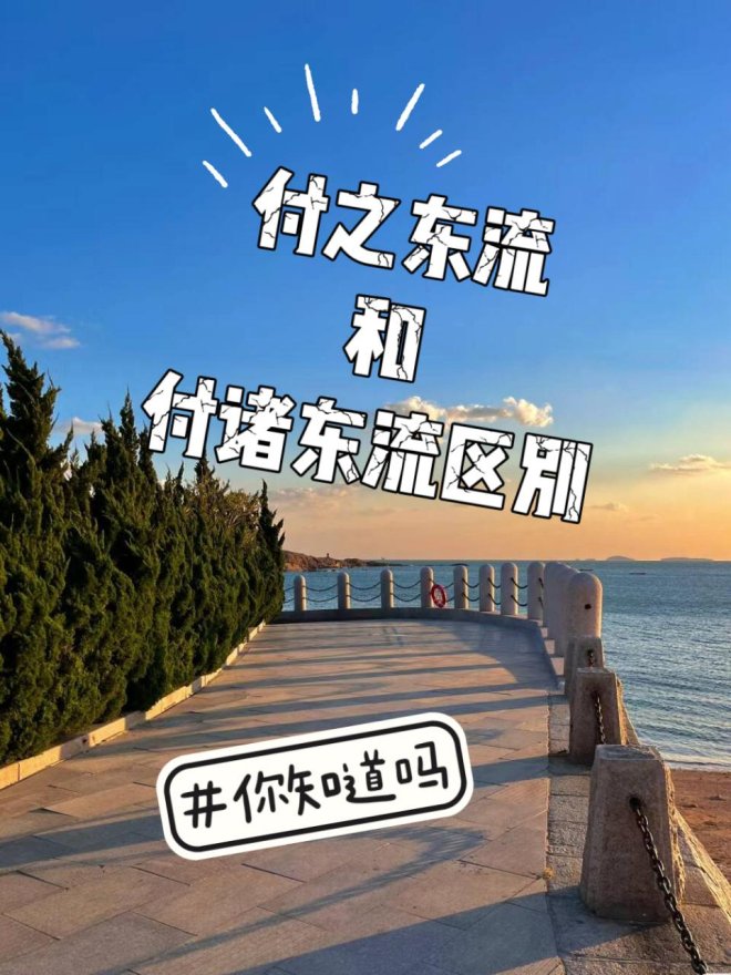 为什么你的努力总被“水冲走”？揭秘付诸东流现象的生存法则