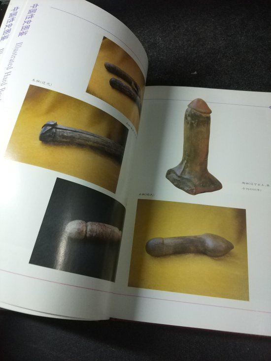 历史真的在循环？揭秘数据推演背后的生存法则！