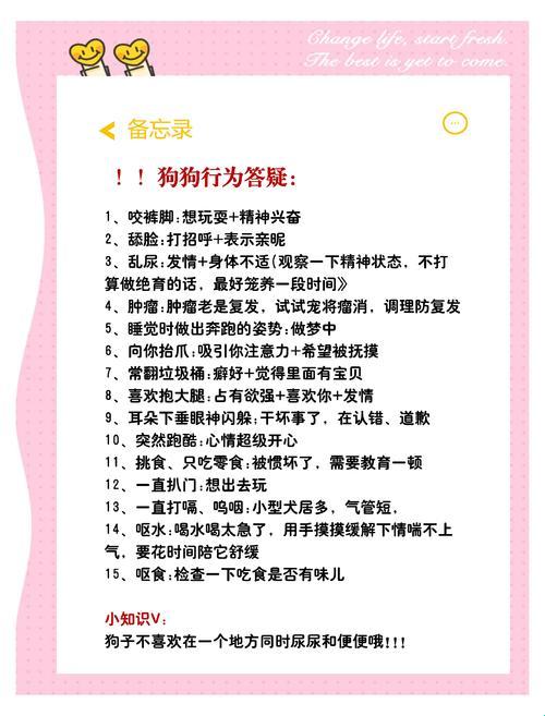 2025版：给主人当狗的基本规矩，网友直呼太真实！