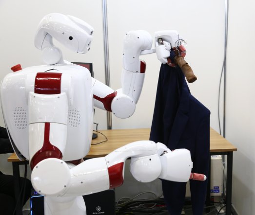 2025日本机器人技术突围战：场景化生存的深度解析