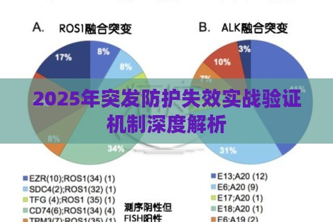 2025年突发防护失效实战验证机制深度解析