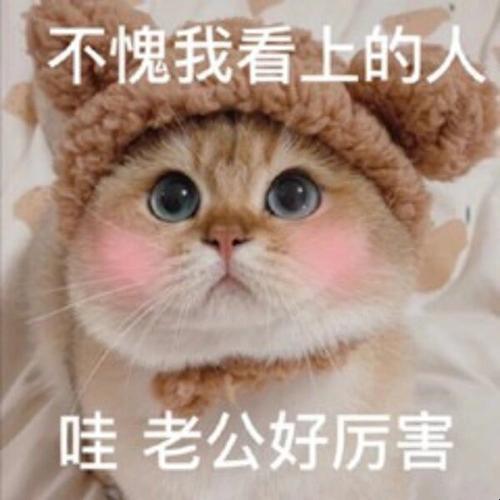 2025家庭语音交互效能深度解析：是我厉害还是你老公厉害说话实战验证方案