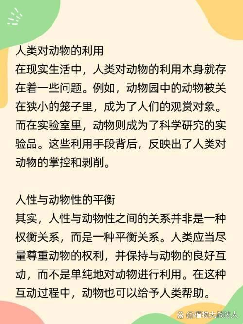 人与动物的胶配方：你真的了解它的秘密吗？