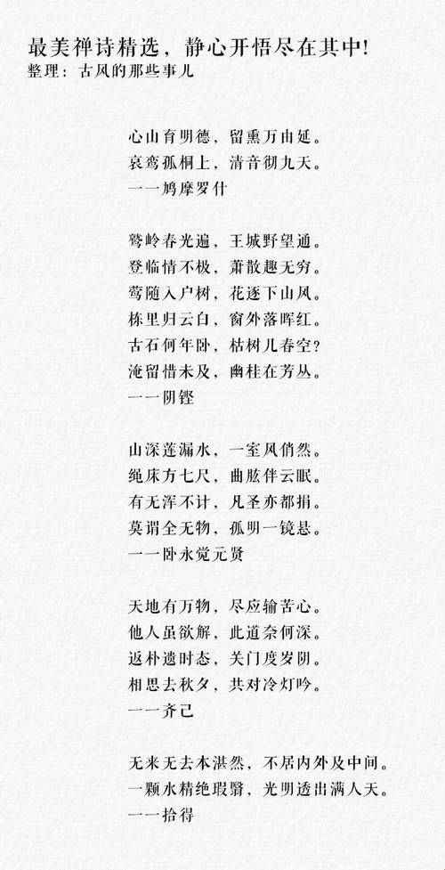 这十句佛系诗词竟成职场人精神解药？2025禅意诗句使用说明书
