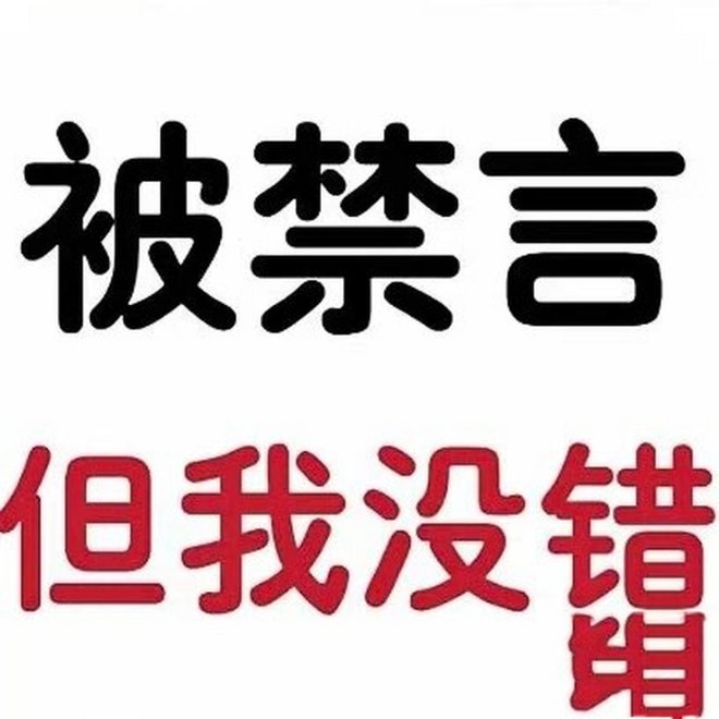 静界新语：数字时代的声纹戒律