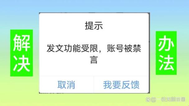 静界新语：数字时代的声纹戒律