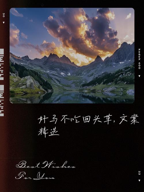 2025年长三角示范区智能风控系统解决方案