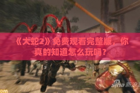 《大蛇2》免费观看完整版,你真的知道怎么玩吗?