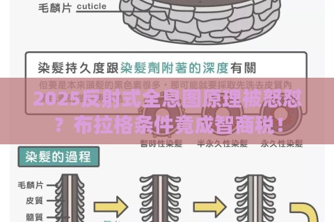 2025反射式全息图原理被怒怼？布拉格条件竟成智商税！