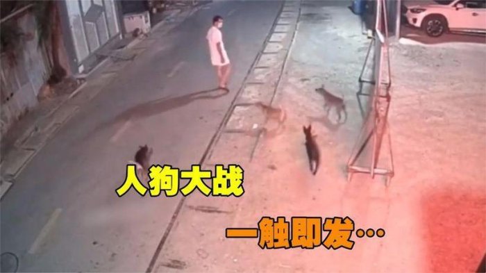 如何免费解锁人狗大战5超清资源？内行避坑指南来了！