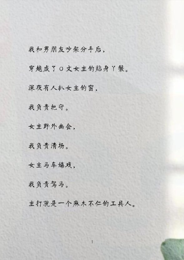 2025贴身丫鬟女主之南小说np文解析技巧：如何用数据撬动阅读杠杆？