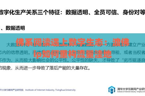佛系阅读遇上数字生态：渡佛ip如何重构流量洼地