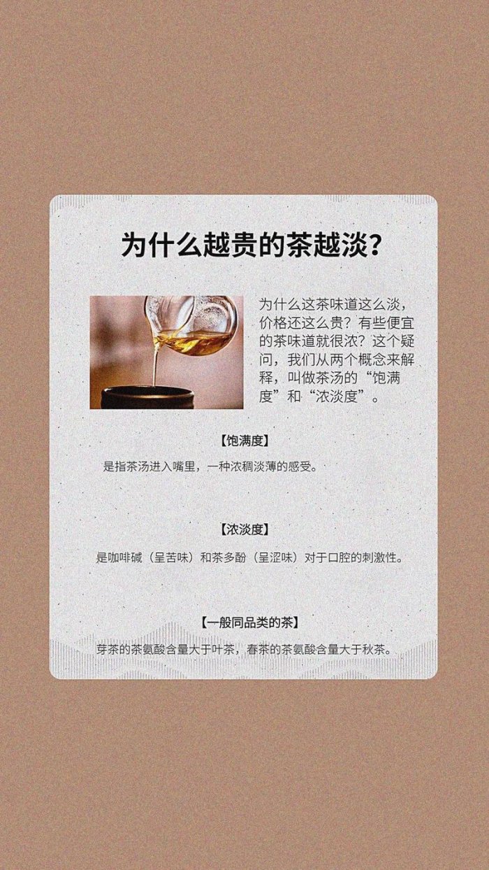 3月必看！代码泡茶法竟成编程圈新圣经？网友直呼离谱但真香