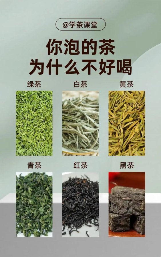 3月必看！代码泡茶法竟成编程圈新圣经？网友直呼离谱但真香
