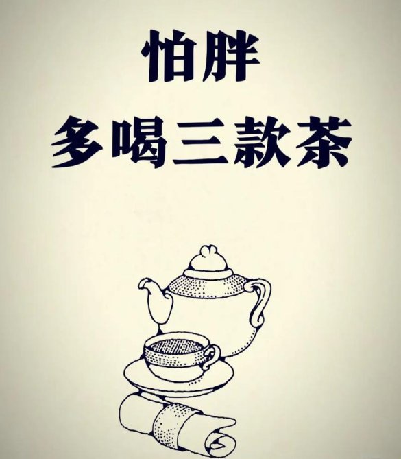 3月必看！代码泡茶法竟成编程圈新圣经？网友直呼离谱但真香