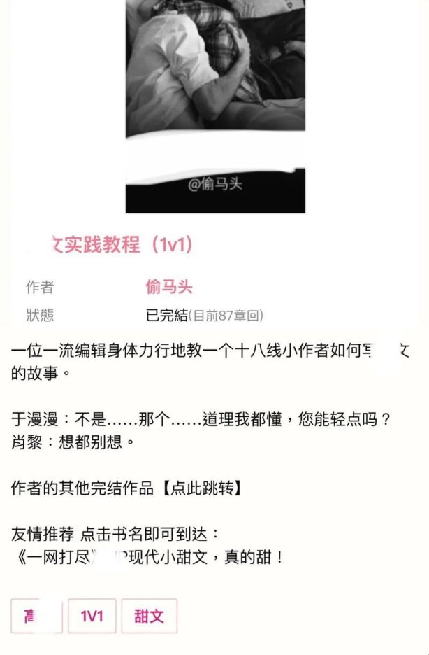 2025年4月：实践教程by偷马头免费阅读，你真的看懂了吗？