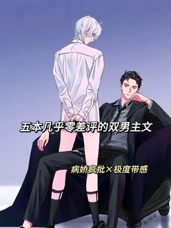 2025病娇双男主小说避坑指南：认知重构的杠杆效应究竟怎么玩？