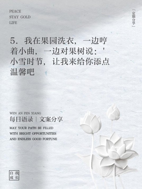果农连夜抢购的ai诱虫灯 竟藏着小雪果园里的小雪全文彩蛋