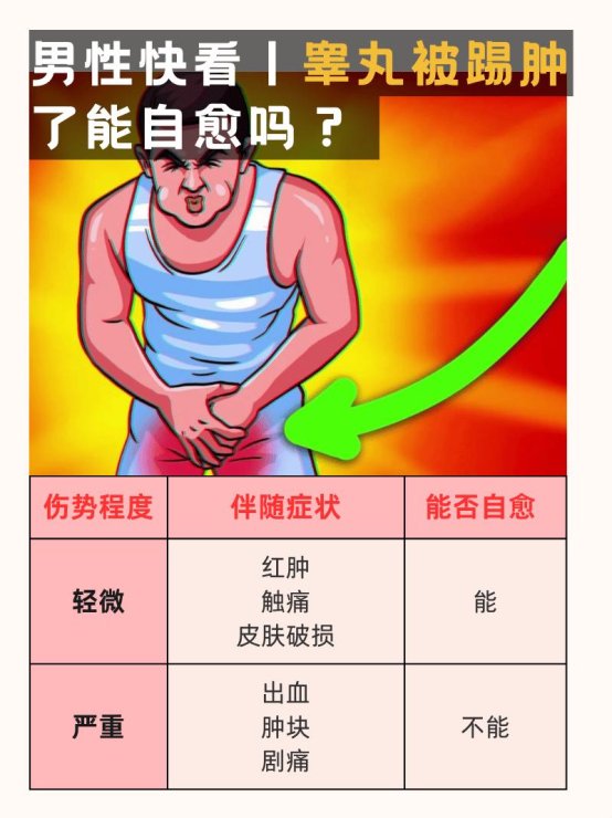 2025年睾丸急性钝击伤深度解析：基于长三角生物力学实验室实战验证方案