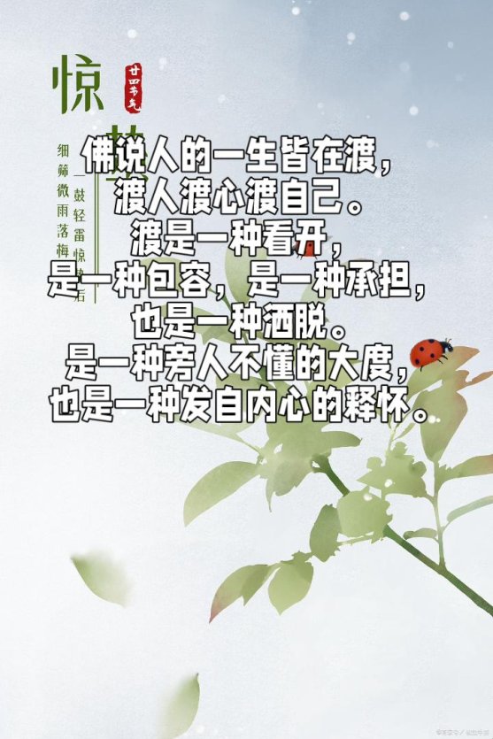 2025新职场生存法则：渡佛经典语录竟是打工人情绪杠杆？