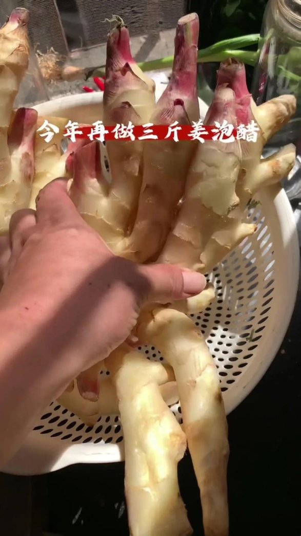 打烂pp再放生姜真能止痛？亲测隐藏玩法大揭秘！