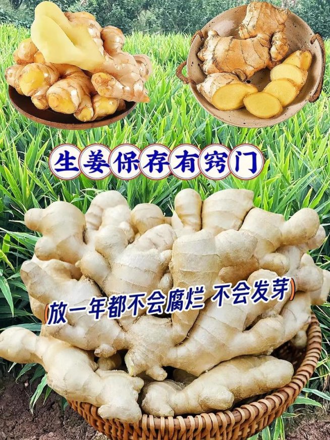 打烂pp再放生姜真能止痛？亲测隐藏玩法大揭秘！