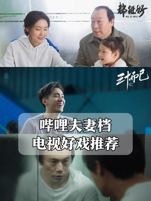 算法红娘与追剧狂魔：哔哩哔哩夫妻向剧单的量子纠缠效应