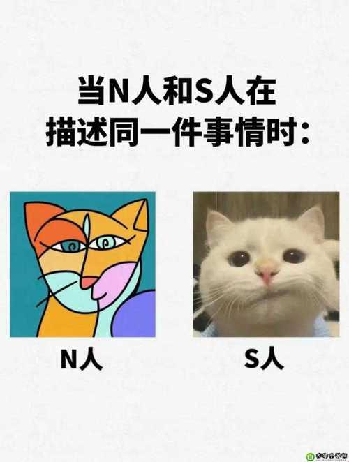 2025科技长尾需求解决方案:成品人与精品人融合之道
