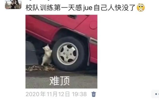 2025年1月热梗：科技长尾需求解决方案