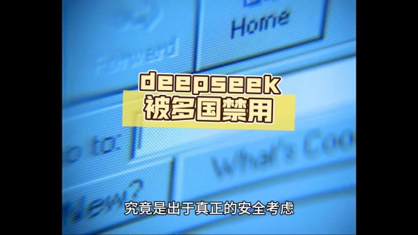 2025版deepseek下架风波背后：全民创新热潮的冰火两重天
