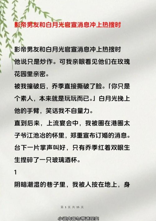2025年影帝梁晋和亦萱小说免费阅读深度解析：科技长尾需求解决方案