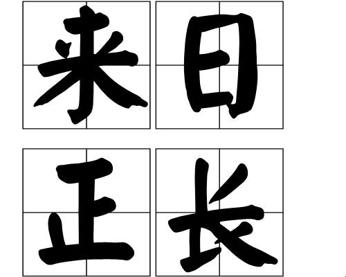 长线战车：未来十年的智能生存装备指南