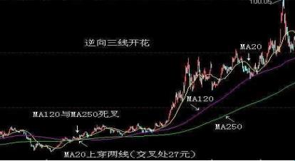 2025年大数据分析场景下的七线开花形态解决方案深度解析
