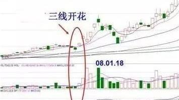 2025年大数据分析场景下的七线开花形态解决方案深度解析