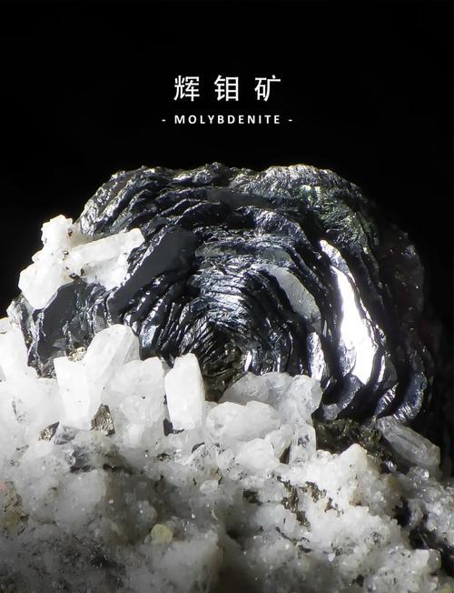 2025钼瓷硬度革命：厨房砧板竟比金刚石硬？别再用老黄历了！