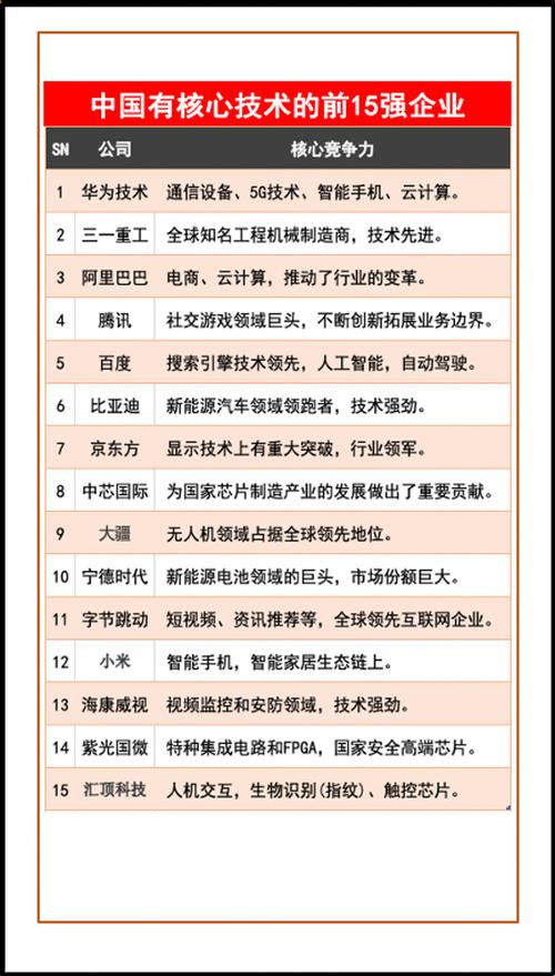 2025中国核心科技企业技术验证难题深度解析与实战验证方案